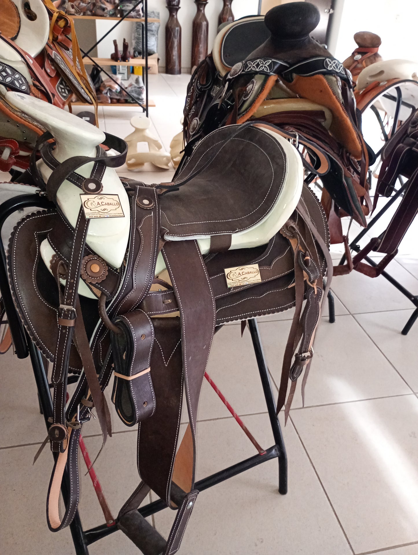 Montura, Cola de Pato, Lisa.