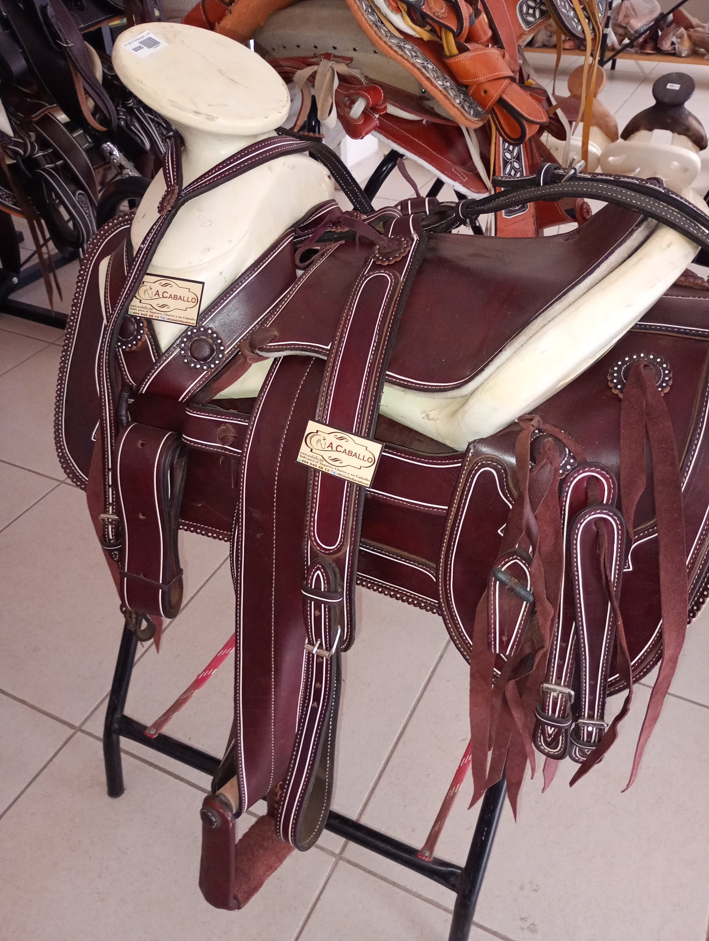 Montura, Cantina Redonda, Lisa, Basto Corto.