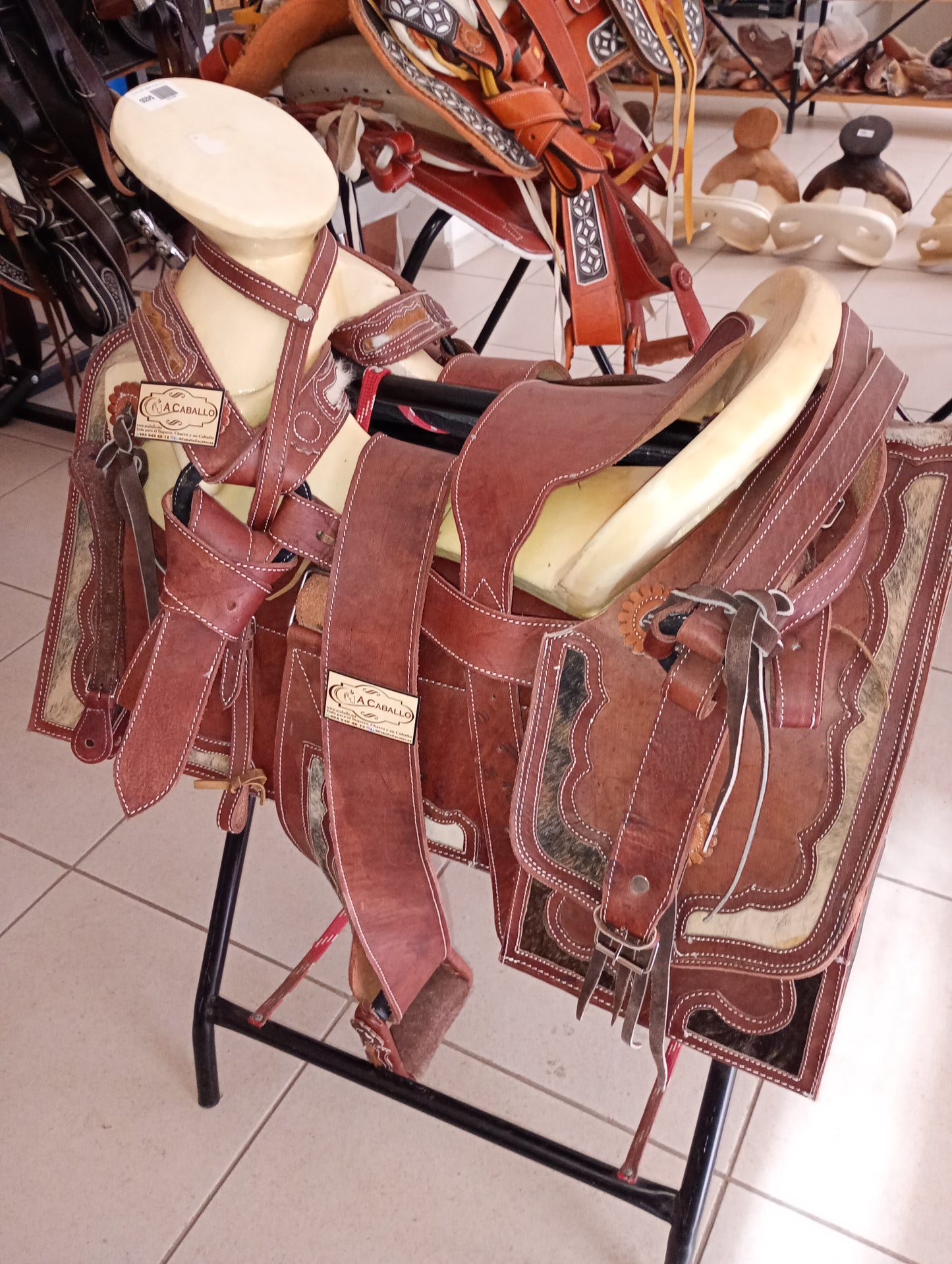 Montura, Cantina Cuadrada, Lagos, Vista Pelo.