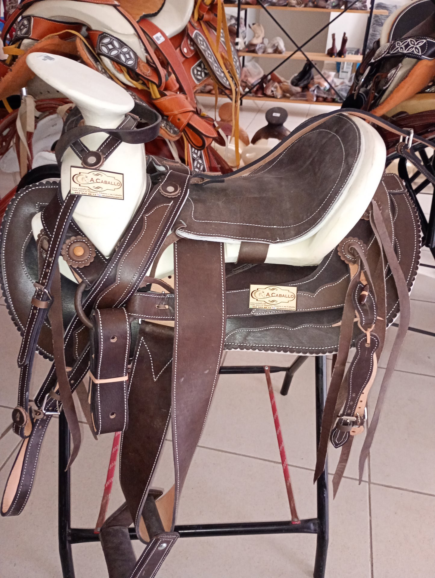 Montura, Cola de Pato, Lisa.