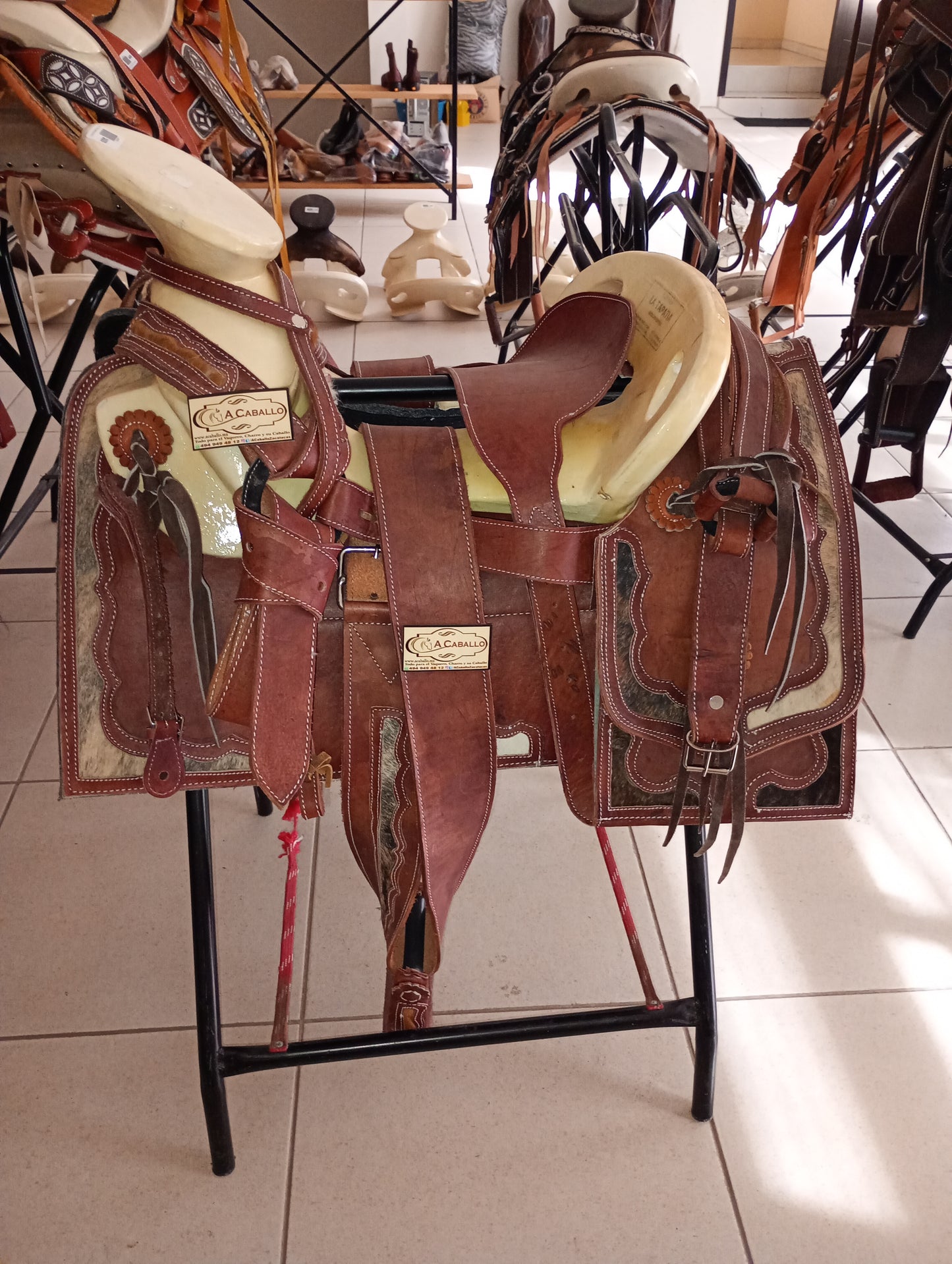 Montura, Cantina Cuadrada, Lagos, Vista Pelo.