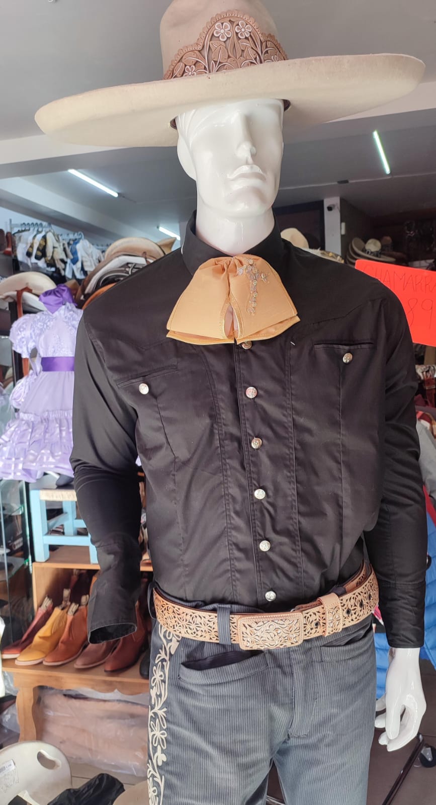Camisa Charra Lisa